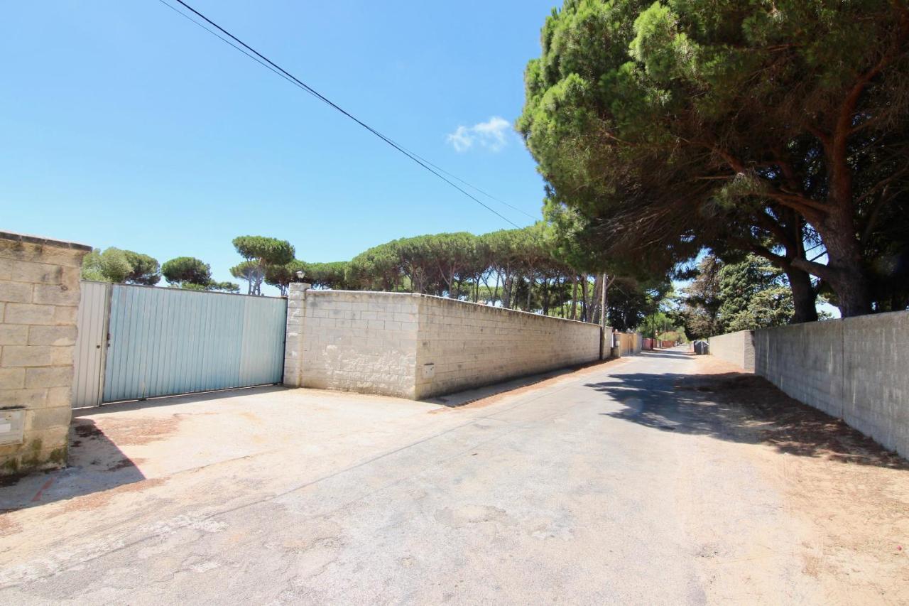 Olivos 1D Villa Chiclana de la Frontera Eksteriør billede